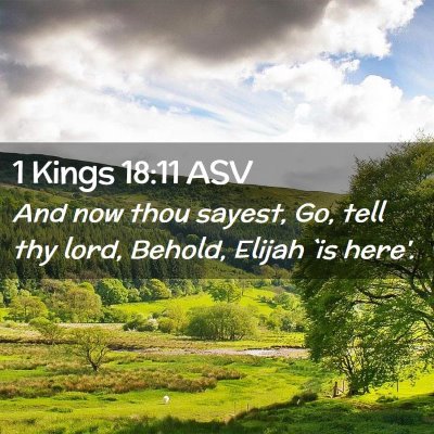 Picture 02 - 1 Kings 18:11 ASV - And now thou sayest, Go, tell thy lord, Behold, - Bible Verse Picture