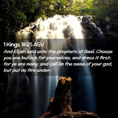 Picture 02 - 1 Kings 18:25 ASV - And Elijah said unto the prophets of Baal, Choose - Bible Verse Picture