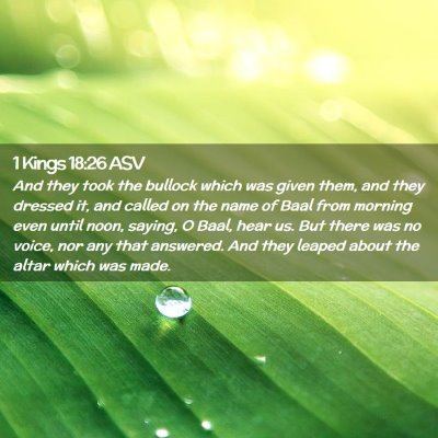Picture 02 - 1 Kings 18:26 ASV - And they took the bullock which was given them, - Bible Verse Picture