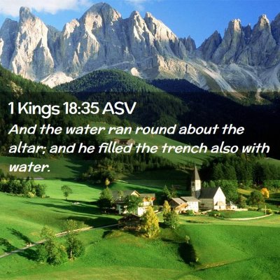 Picture 02 - 1 Kings 18:35 ASV - And the water ran round about the altar; and he - Bible Verse Picture