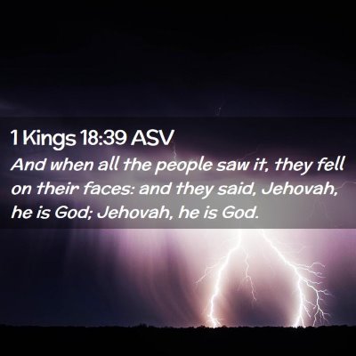 Picture 02 - 1 Kings 18:39 ASV - And when all the people saw it, they fell on - Bible Verse Picture