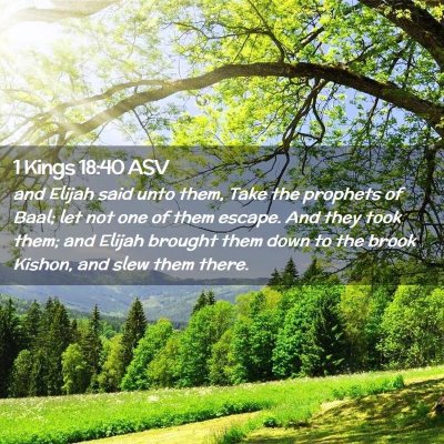 Picture 02 - 1 Kings 18:40 ASV - and Elijah said unto them, Take the prophets of - Bible Verse Picture