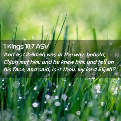 Picture 02 - 1 Kings 18:7 ASV - And as Obadiah was in the way, behold, Elijah met - Bible Verse Picture