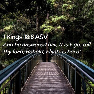 Picture 02 - 1 Kings 18:8 ASV - And he answered him, It is I: go, tell thy lord, - Bible Verse Picture