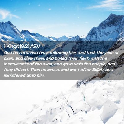 Picture 02 - 1 Kings 19:21 ASV - And he returned from following him, and took the - Bible Verse Picture