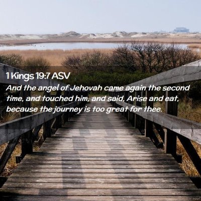 Picture 02 - 1 Kings 19:7 ASV - And the angel of Jehovah came again the second - Bible Verse Picture