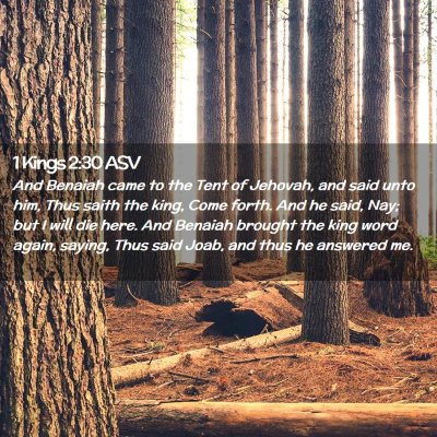 Picture 02 - 1 Kings 2:30 ASV - And Benaiah came to the Tent of Jehovah, and said - Bible Verse Picture