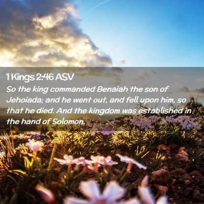 Picture 02 - 1 Kings 2:46 ASV - So the king commanded Benaiah the son of - Bible Verse Picture