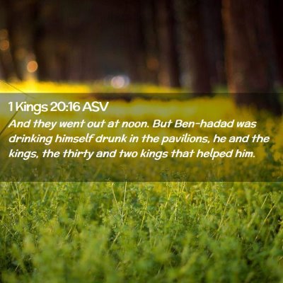 Picture 02 - 1 Kings 20:16 ASV - And they went out at noon. But Ben-hadad was - Bible Verse Picture