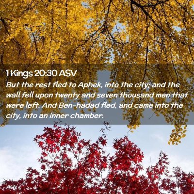 Picture 02 - 1 Kings 20:30 ASV - But the rest fled to Aphek, into the city; and - Bible Verse Picture