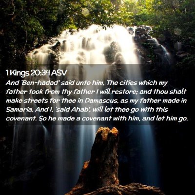 Picture 02 - 1 Kings 20:34 ASV - And `Ben-hadad' said unto him, The cities which - Bible Verse Picture