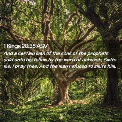 Picture 02 - 1 Kings 20:35 ASV - And a certain man of the sons of the prophets - Bible Verse Picture