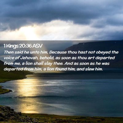 Picture 02 - 1 Kings 20:36 ASV - Then said he unto him, Because thou hast not - Bible Verse Picture