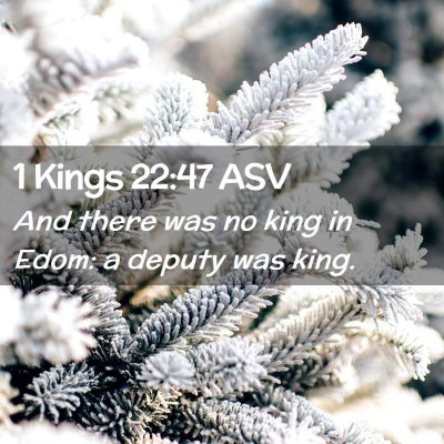 Picture 02 - 1 Kings 22:47 ASV - And there was no king in Edom: a deputy was - Bible Verse Picture