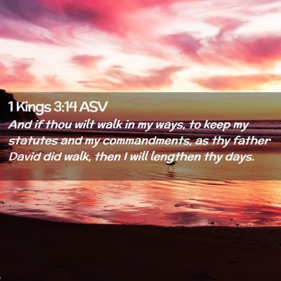 Picture 02 - 1 Kings 3:14 ASV - And if thou wilt walk in my ways, to keep my - Bible Verse Picture