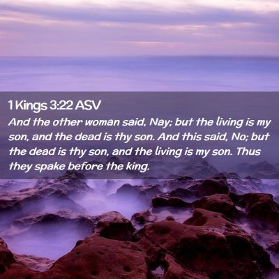 Picture 02 - 1 Kings 3:22 ASV - And the other woman said, Nay; but the living is - Bible Verse Picture