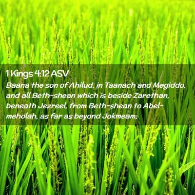 Picture 02 - 1 Kings 4:12 ASV - Baana the son of Ahilud, in Taanach and Megiddo, - Bible Verse Picture