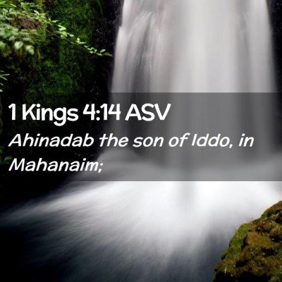 Picture 02 - 1 Kings 4:14 ASV - Ahinadab the son of Iddo, in - Bible Verse Picture
