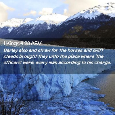 Picture 02 - 1 Kings 4:28 ASV - Barley also and straw for the horses and swift - Bible Verse Picture