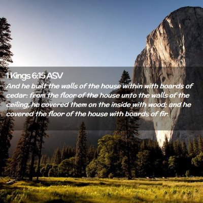 Picture 02 - 1 Kings 6:15 ASV - And he built the walls of the house within with - Bible Verse Picture
