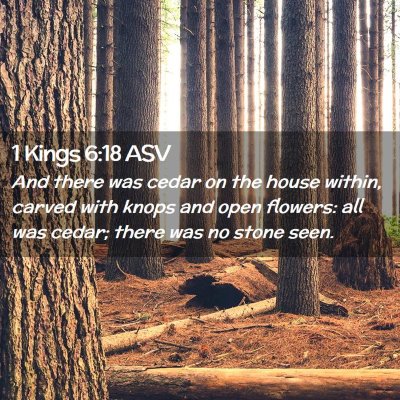 Picture 02 - 1 Kings 6:18 ASV - And there was cedar on the house within, carved - Bible Verse Picture