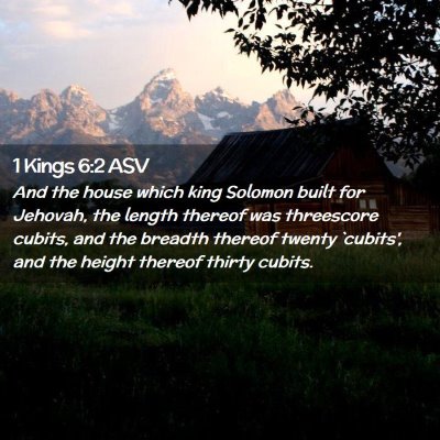 Picture 02 - 1 Kings 6:2 ASV - And the house which king Solomon built for - Bible Verse Picture