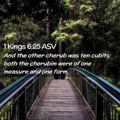 Picture 02 - 1 Kings 6:25 ASV - And the other cherub was ten cubits: both the - Bible Verse Picture
