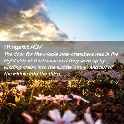 Picture 02 - 1 Kings 6:8 ASV - The door for the middle side-chambers was in the - Bible Verse Picture