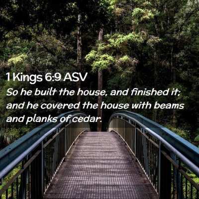 Picture 02 - 1 Kings 6:9 ASV - So he built the house, and finished it; and he - Bible Verse Picture