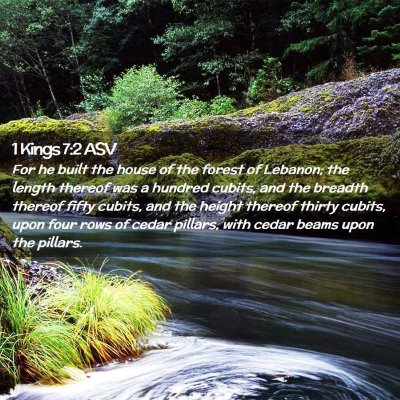 Picture 02 - 1 Kings 7:2 ASV - For he built the house of the forest of Lebanon; - Bible Verse Picture