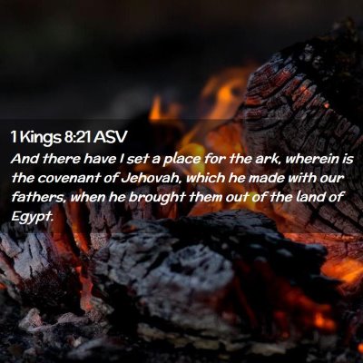 Picture 02 - 1 Kings 8:21 ASV - And there have I set a place for the ark, wherein - Bible Verse Picture