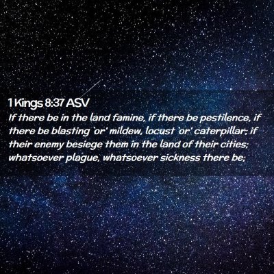 Picture 02 - 1 Kings 8:37 ASV - If there be in the land famine, if there be - Bible Verse Picture