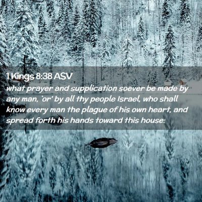 Picture 02 - 1 Kings 8:38 ASV - what prayer and supplication soever be made by - Bible Verse Picture