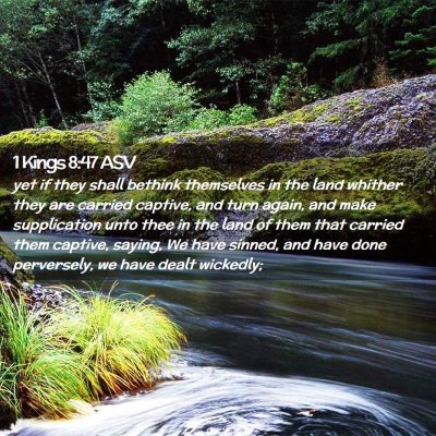 Picture 02 - 1 Kings 8:47 ASV - yet if they shall bethink themselves in the land - Bible Verse Picture