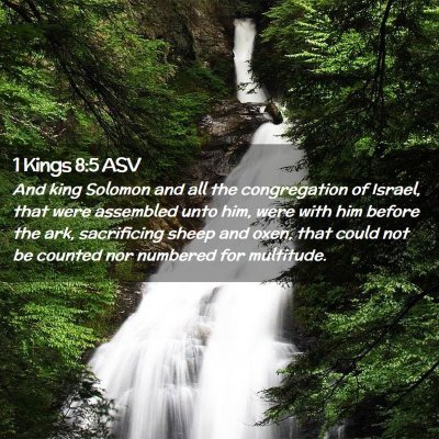 Picture 02 - 1 Kings 8:5 ASV - And king Solomon and all the congregation of - Bible Verse Picture
