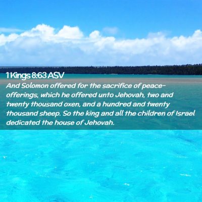 Picture 02 - 1 Kings 8:63 ASV - And Solomon offered for the sacrifice of - Bible Verse Picture