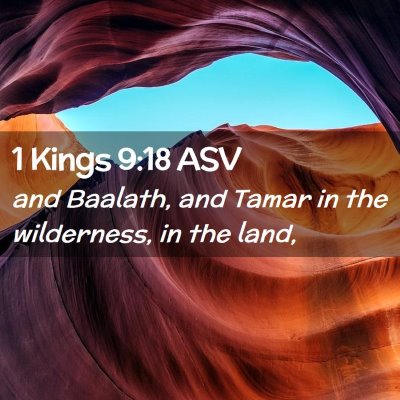 Picture 02 - 1 Kings 9:18 ASV - and Baalath, and Tamar in the wilderness, in the - Bible Verse Picture