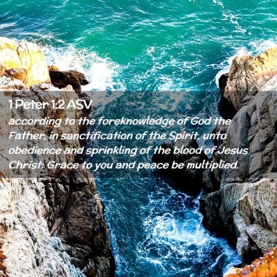 Picture 02 - 1 Peter 1:2 ASV - according to the foreknowledge of God the Father, - Bible Verse Picture