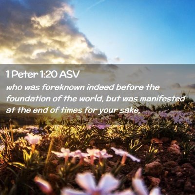 Picture 02 - 1 Peter 1:20 ASV - who was foreknown indeed before the foundation of - Bible Verse Picture