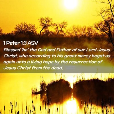 Picture 02 - 1 Peter 1:3 ASV - Blessed `be' the God and Father of our Lord Jesus - Bible Verse Picture