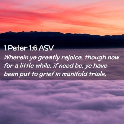 Picture 02 - 1 Peter 1:6 ASV - Wherein ye greatly rejoice, though now for a - Bible Verse Picture