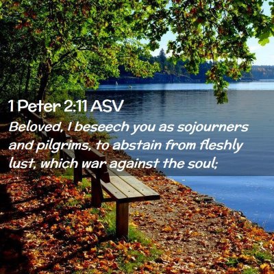 Picture 02 - 1 Peter 2:11 ASV - Beloved, I beseech you as sojourners and - Bible Verse Picture