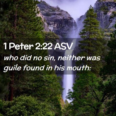 Picture 02 - 1 Peter 2:22 ASV - who did no sin, neither was guile found in his - Bible Verse Picture