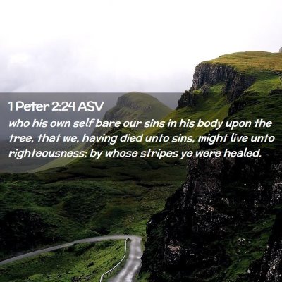 Picture 02 - 1 Peter 2:24 ASV - who his own self bare our sins in his body upon - Bible Verse Picture