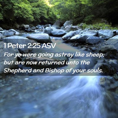 Picture 02 - 1 Peter 2:25 ASV - For ye were going astray like sheep; but are now - Bible Verse Picture