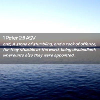 Picture 02 - 1 Peter 2:8 ASV - and, A stone of stumbling, and a rock of offence; - Bible Verse Picture