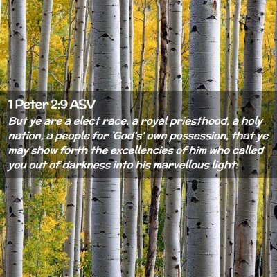 Picture 02 - 1 Peter 2:9 ASV - But ye are a elect race, a royal priesthood, a - Bible Verse Picture