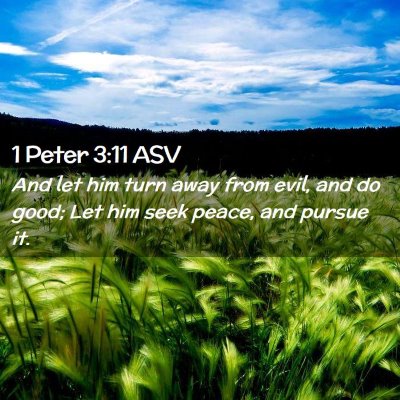 Picture 02 - 1 Peter 3:11 ASV - And let him turn away from evil, and do good; Let - Bible Verse Picture