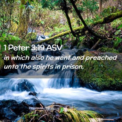 Picture 02 - 1 Peter 3:19 ASV - in which also he went and preached unto the - Bible Verse Picture