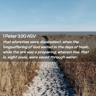 Picture 02 - 1 Peter 3:20 ASV - that aforetime were disobedient, when the - Bible Verse Picture